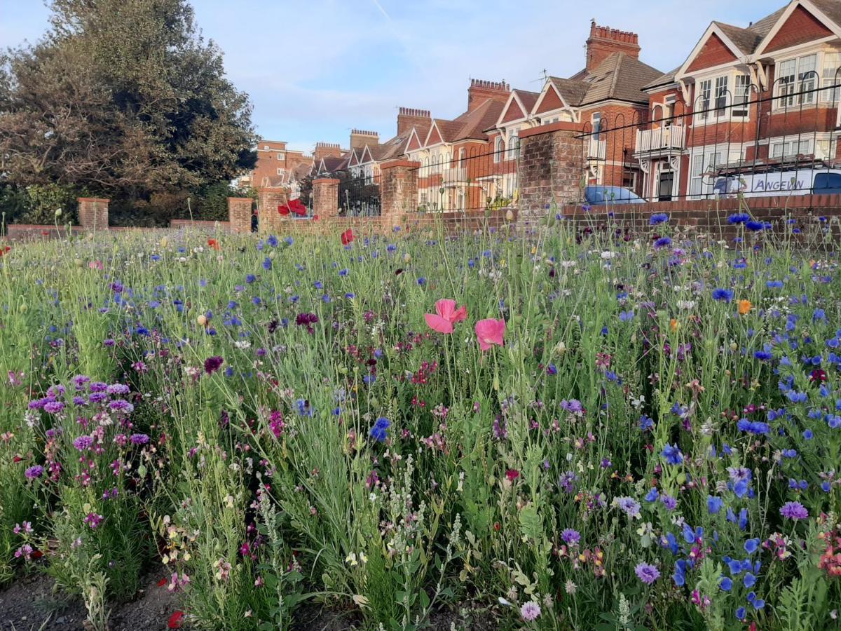 Coastal Chic Bed and Breakfast Bexhill-on-Sea Esterno foto